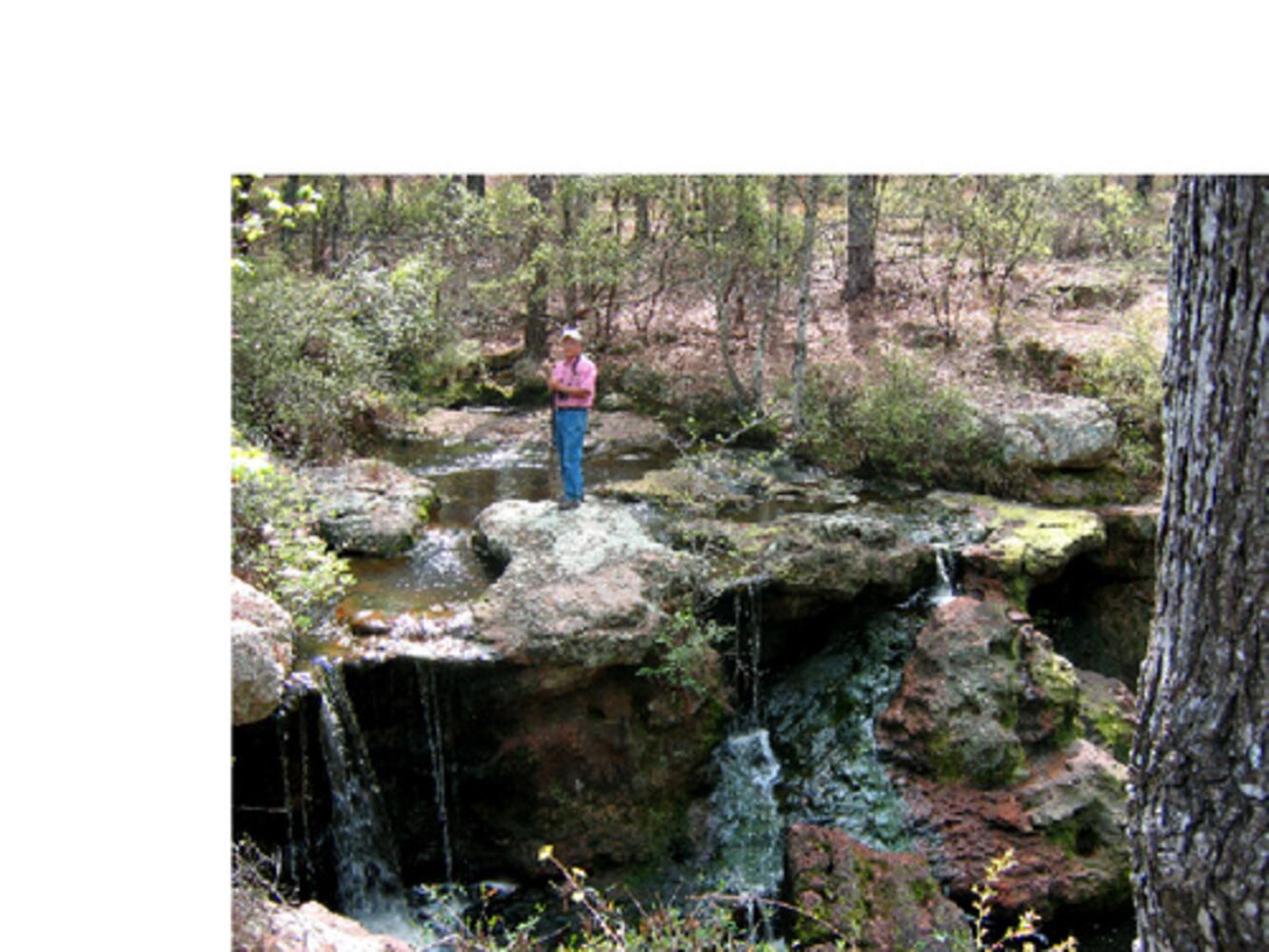 A snapshot of Georgia's Natural Wonders