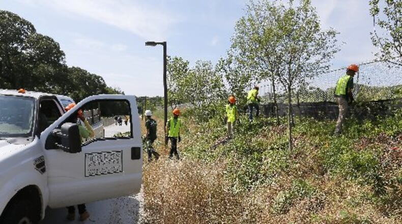 Trees Atlanta workers clear invasive brush along the Beltline’s westside trail in southwest Atlanta. BOB ANDRES /BANDRES@AJC.COM