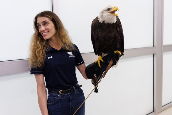 Assistant Director of Raptor Training and Education Amanda Sweeney stands in TSA with Independence, "Indy," as the crate is checked by security at Hartsfield-Jackson Atlanta International Airport. (Estela Muñoz/AJC)