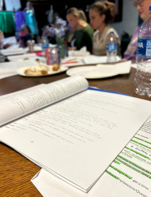 Goss characterizes her script as a dark comedy. "There’s a lot of humor in it and a lot of hope because that’s the truth of the situation." (Courtesy of Jamie Goss)