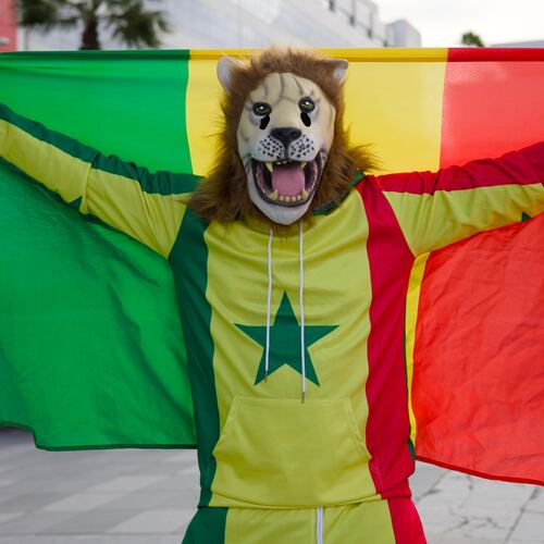 Senegal fan Pape, dressed as a lion, holds the Senegal flag at the Africa Cup of Nations in Tangier, Morocco, Dec. 23, 2025. (AP Photo/Ciaran Fahey)