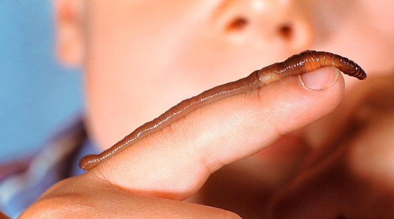 A worm crawling on a boy’s finger. A family in Canada found worms in their cooked chicken breast dinner from Cosco. The retailer apologized and refunded their money.