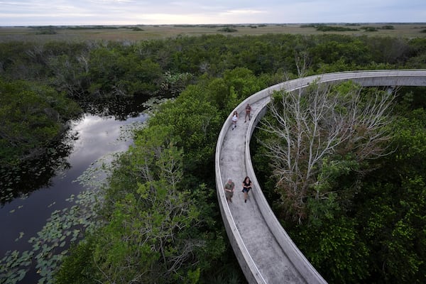FILE - Visitors walk down a ramp after climbing Shark Valley observation point in Everglades National Park, Fla., Nov. 20, 2024. (AP Photo/Rebecca Blackwell, File)