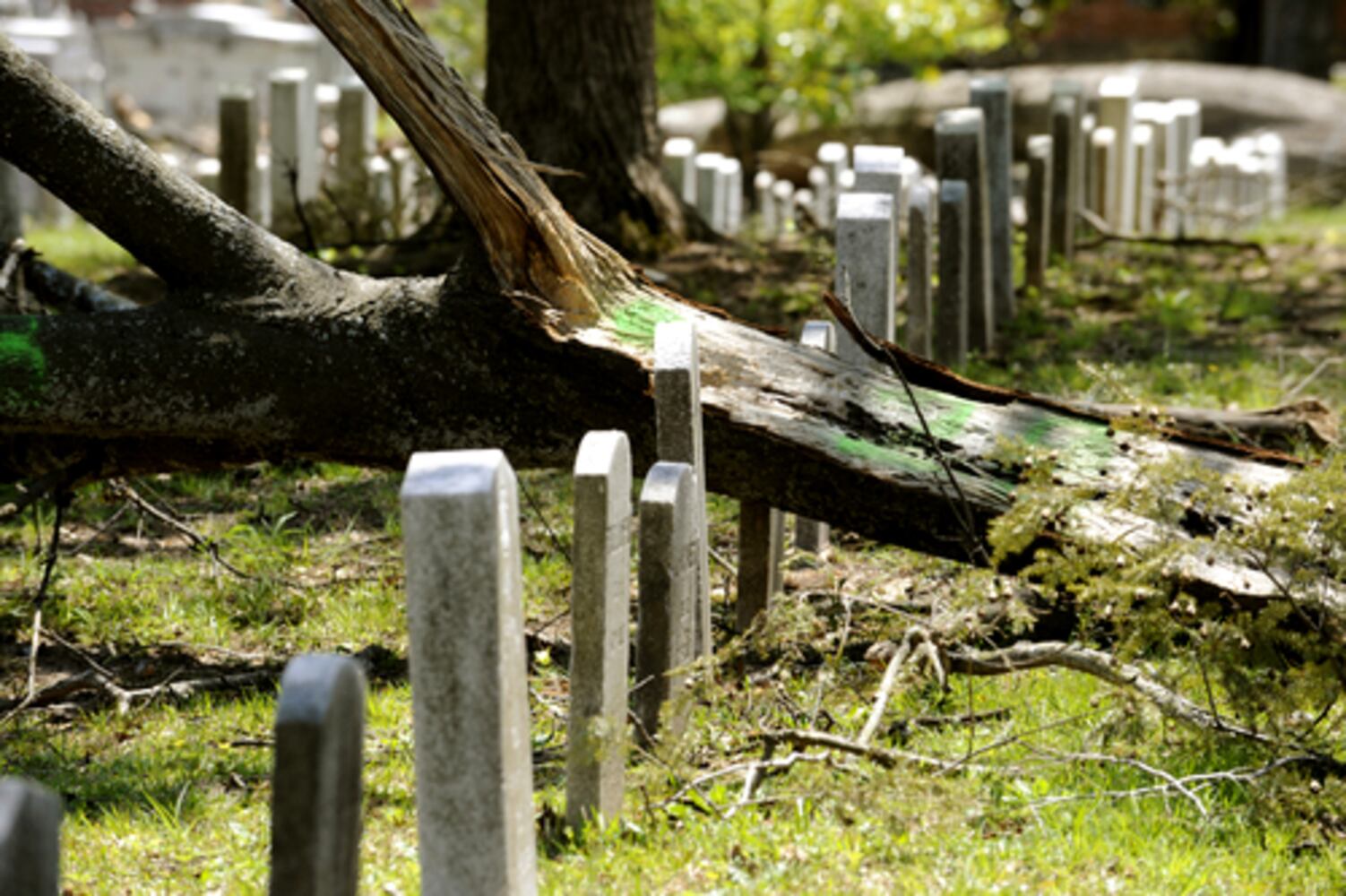 Oakland Cemetery hit hard by tornado