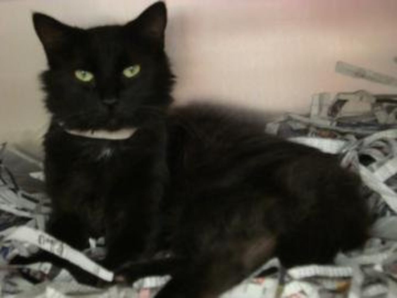 Can you find me a home, please?
