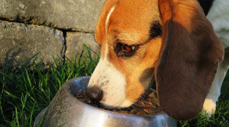 A company that produces dog food at affordable stores across the country has voluntarily recalled some of its brands (not pictured) due to a harmful amount of a mold by-product.