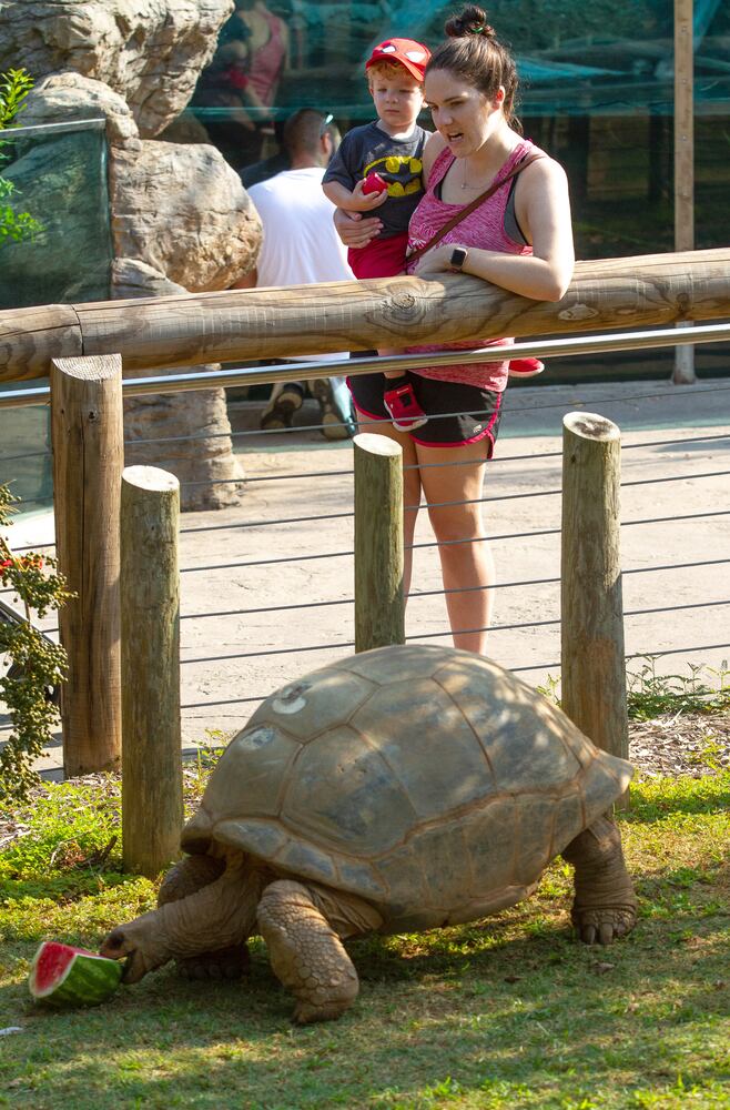 PHOTOS: 090819 zoo