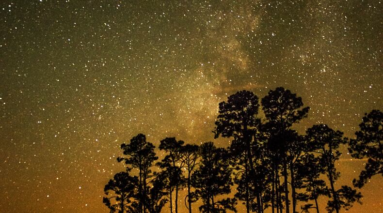 CONTRIBUTED BY GEORGIA STATE PARKS