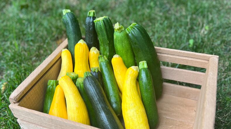 As summer squashes grow, so do your recipe options. (Kellie Hynes for The Atlanta Journal-Constitution)