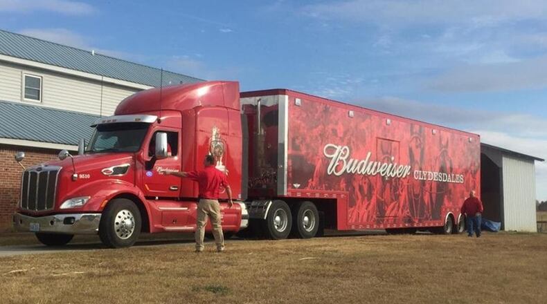 The Budweiser Clydesdales arrived in Gwinnett on Monday, several days ahead of their appearance at Lawrenceville's first-ever Christmas parade.