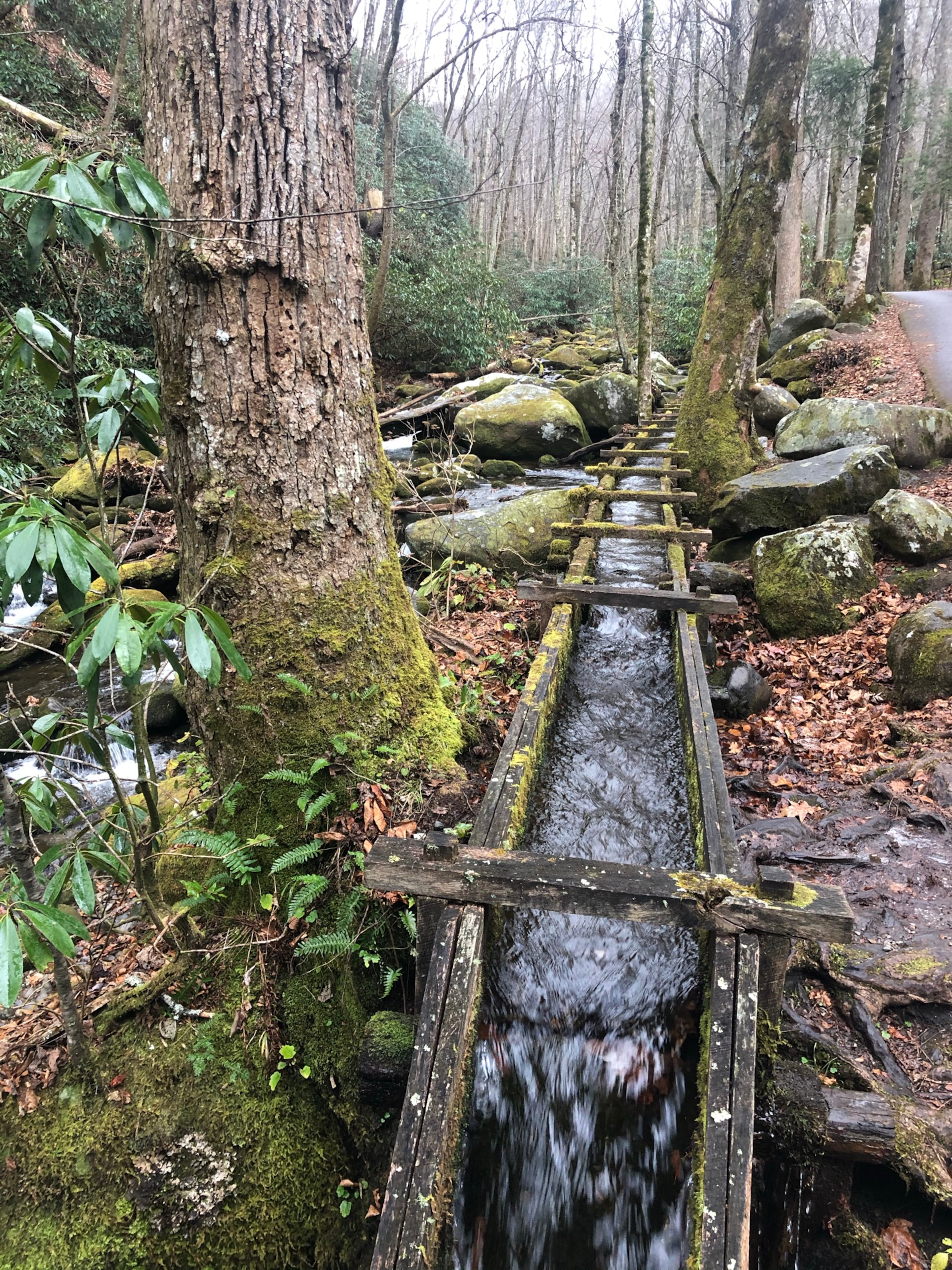 Cades Cove is a loop drive within the Great Smoky Mountains National Park. It’s an 11-mile one-way loop, primarily for cars, with a few vehicle-free days throughout the year, allowing you to bike or walk. (Courtesy of Karon Warren)