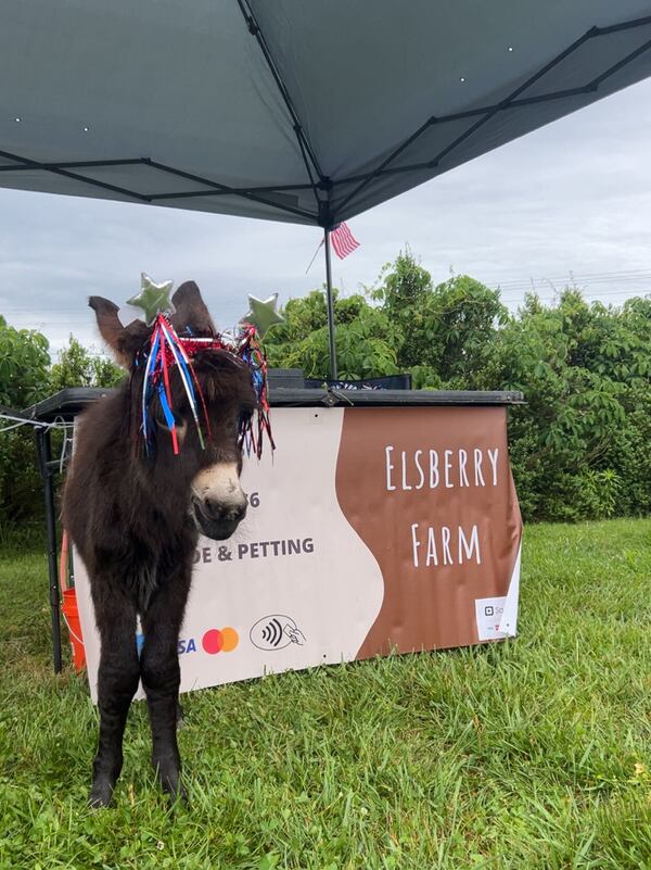 HeeHaw was a resident of Elsberry Riding and Farm which offers trail rides and horse camps. (Courtesy of Elsberry Riding and Farm)