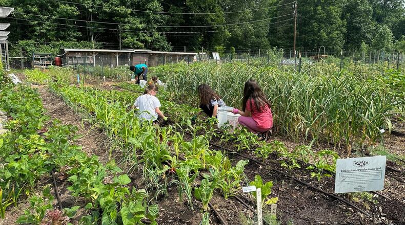 Students from Cambridge High School participate five days a week throughout the school year in the Educational Field course where they learn how to run a small-scale organic garden. (Courtesy Alpharetta Community Agriculture Program)