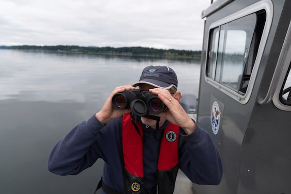Washington Department of Natural Resources' Lowell Dickson watches as a helicopter moves an abandoned ship on Wednesday, June 4, 2025, in Olympia, Wash. (AP Photo/Jenny Kane)