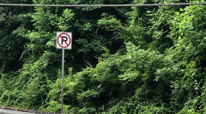 Alan Kendall hopes this water leak can soon be fixed.