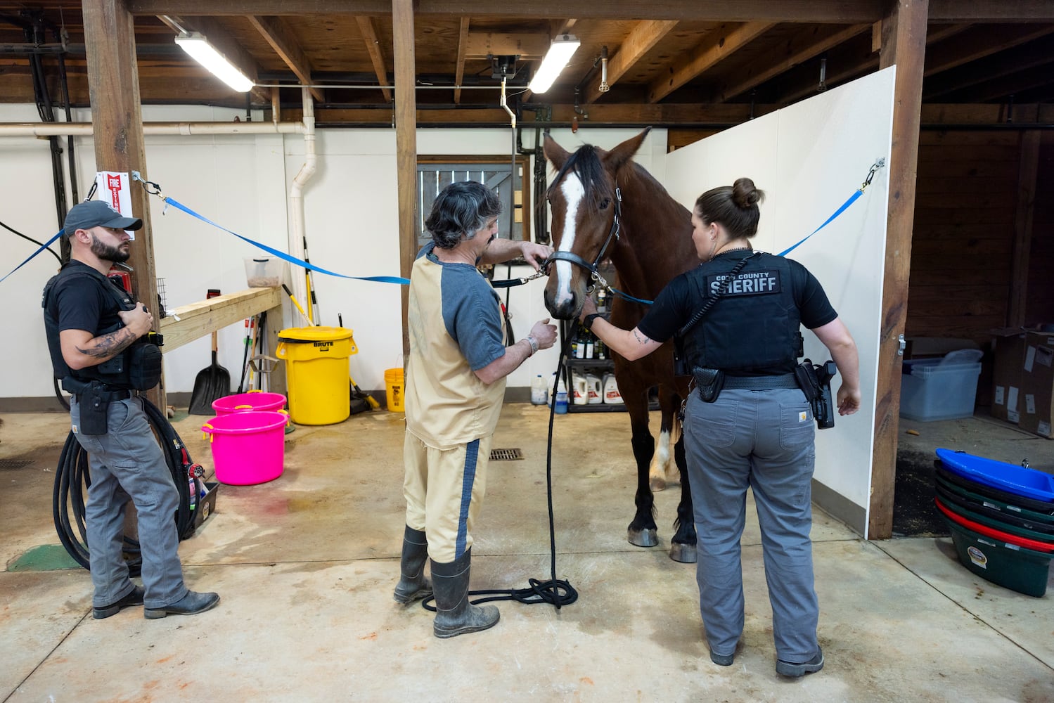 aajc 110625 anx cobb so equine