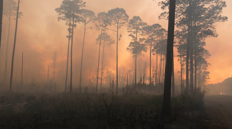 The Okefenokee swamp is ablaze. Photo Credit: Josh O'Connor - USFWS