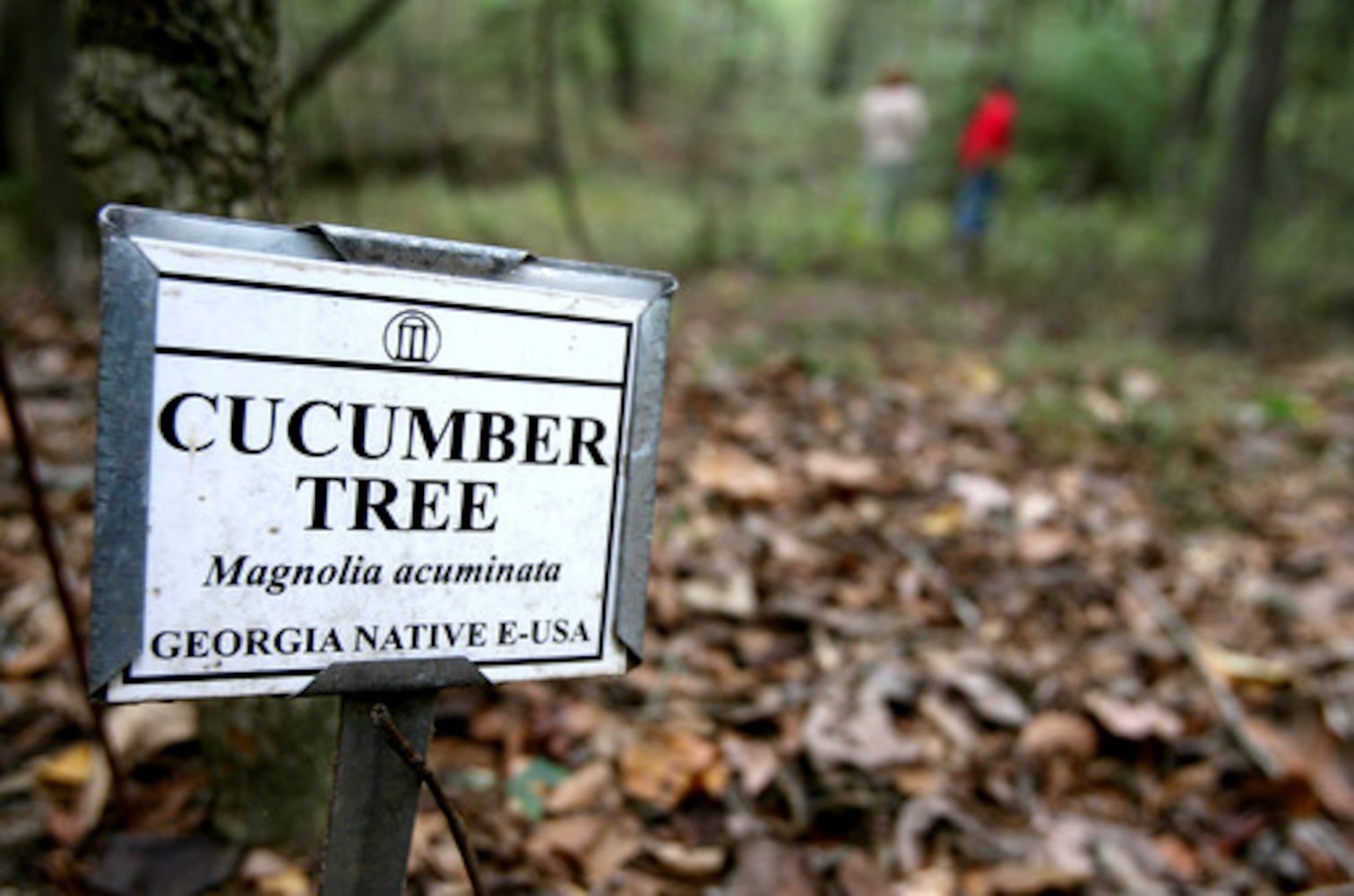 Tour the Thompson Mills Forest