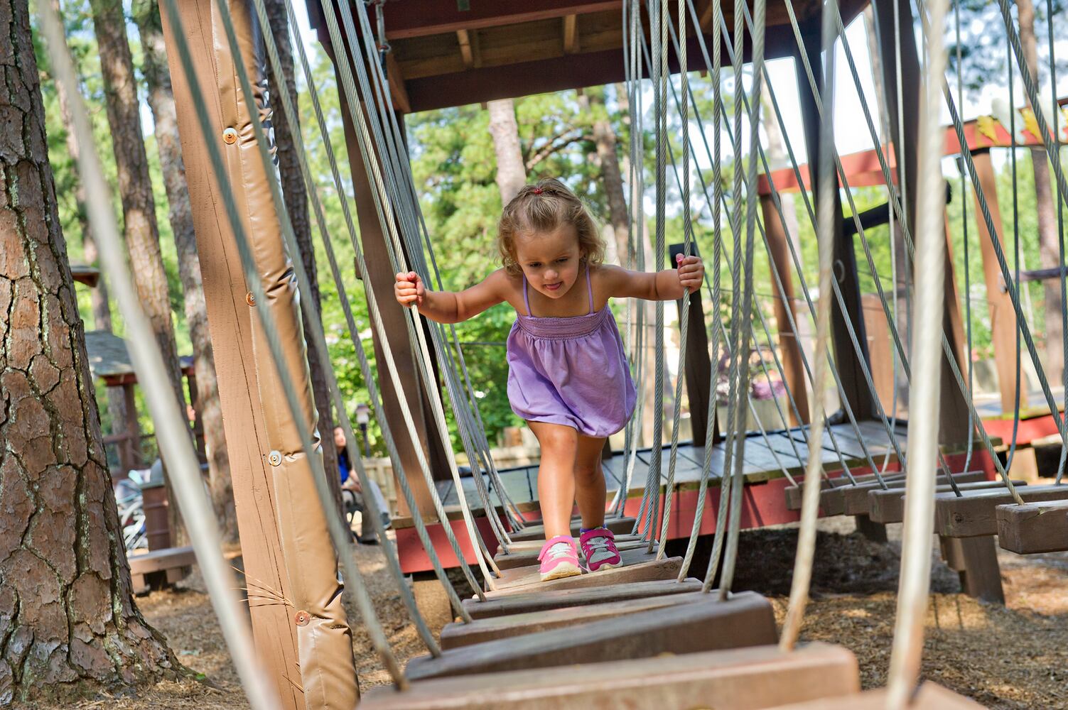 Fantastic Fourth at Stone Mountain Park