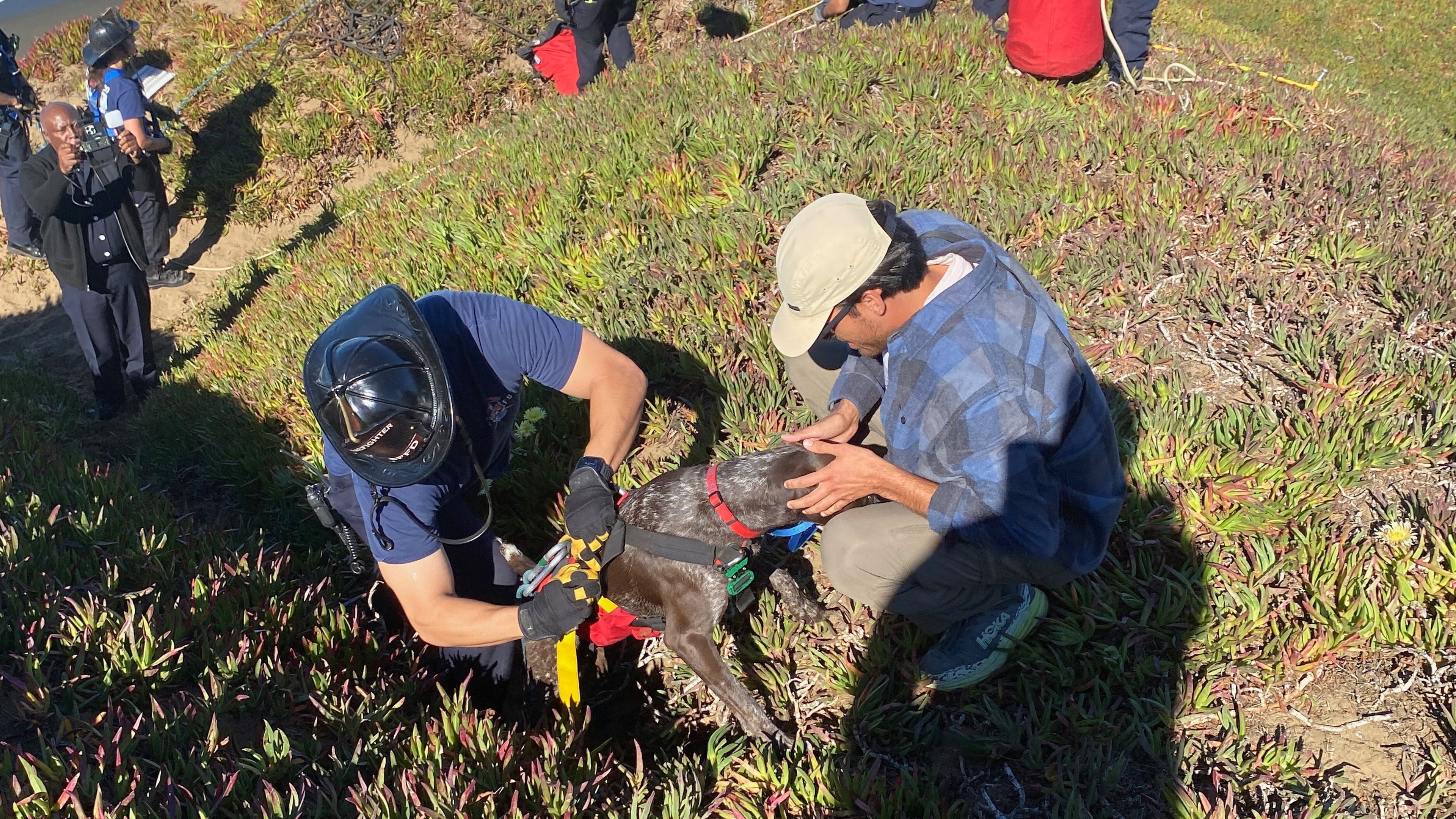 This photo provided by the San Francisco Fire Department shows the owner of a dog greeting his pooch after firefighters rescued it after it felll off a sea cliff in San Francisco on Tuesday, Oct. 28, 2025. (Rescue Captain Samuel Menchaca/San Francisco Fire Department via AP)