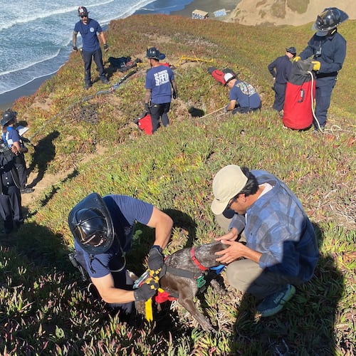 This photo provided by the San Francisco Fire Department shows the owner of a dog greeting his pooch after firefighters rescued it after it felll off a sea cliff in San Francisco on Tuesday, Oct. 28, 2025. (Rescue Captain Samuel Menchaca/San Francisco Fire Department via AP)