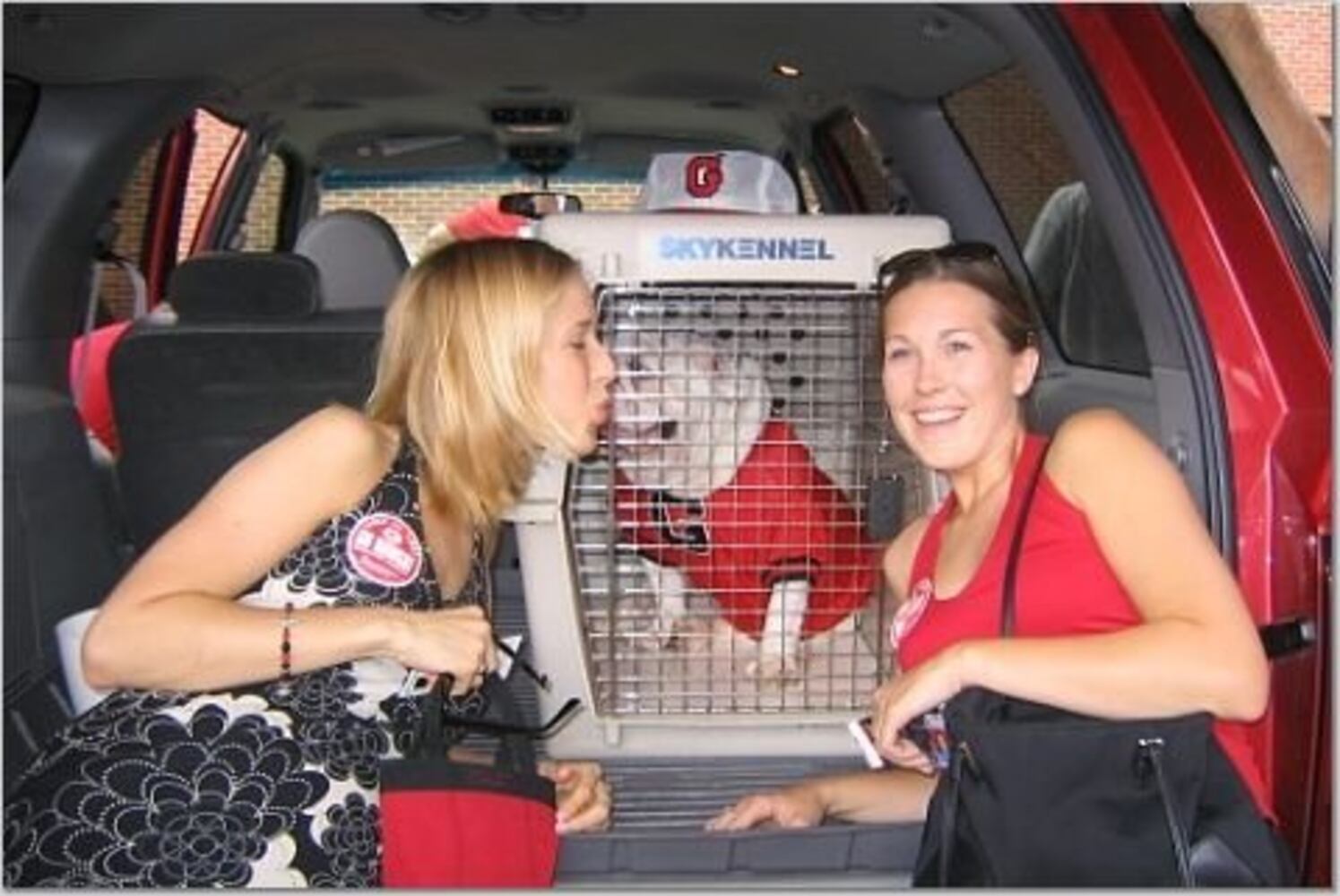 Fans pictures of Uga VI -- No. 1