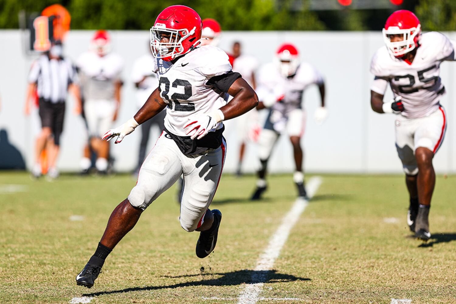 Georgia Bulldogs