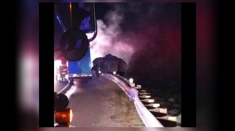 Elephants were spotted on the interstate during a tractor-trailer fire in northwest Georgia.