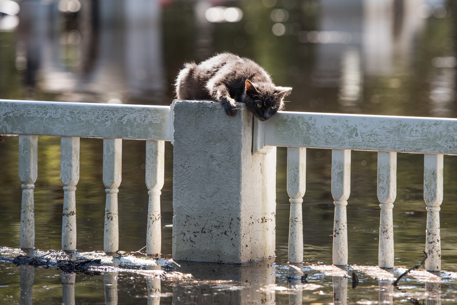 2016 Photos of the Year