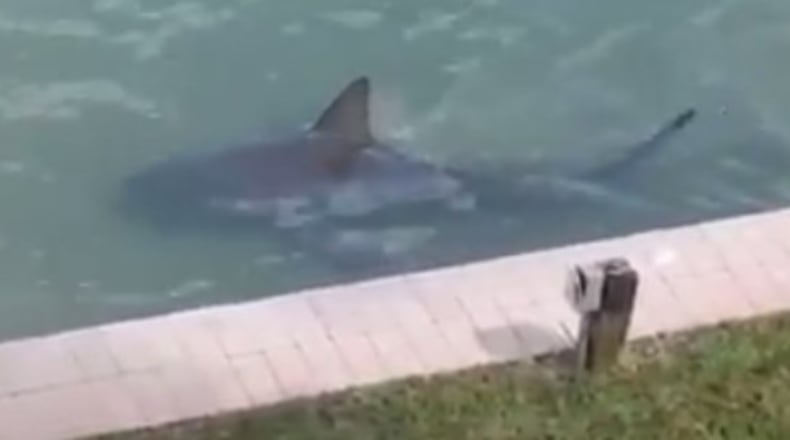 Photo credit: YouTube screenshot