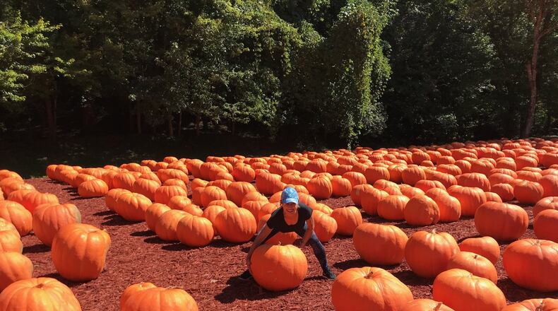 Chuck Wing took this picture at Burt’s Pumpkins Farm in the fall. “My wife couldn’t get this one off the ground,” he wrote.