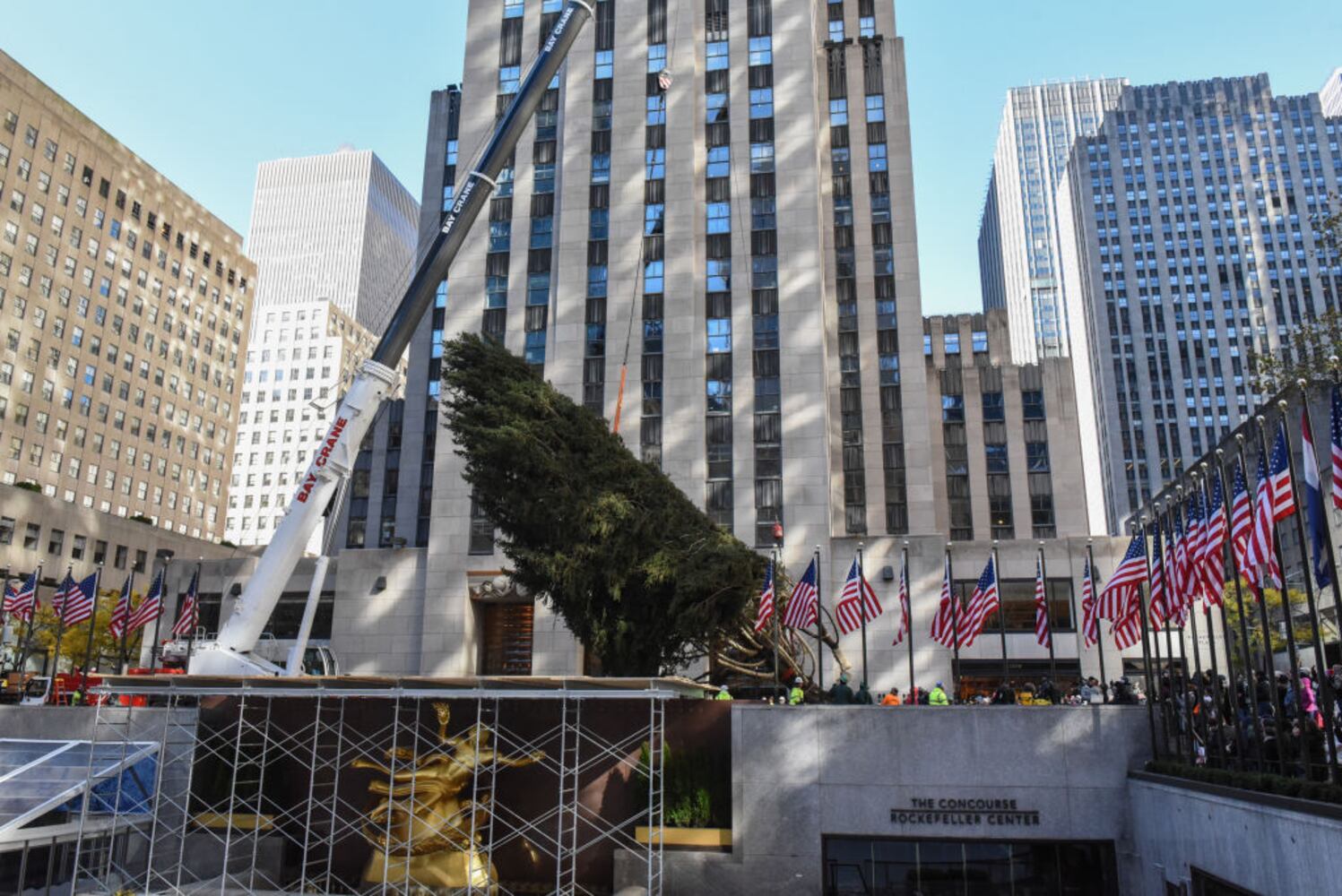 rockefeller center plaza christmas tree