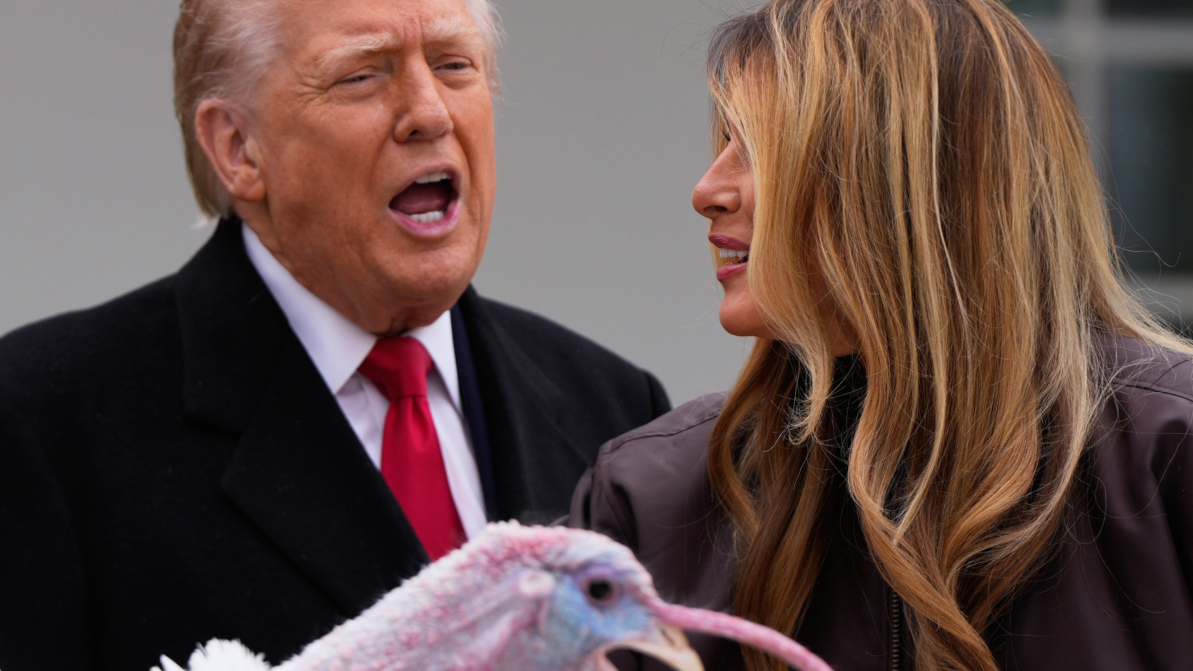 President Donald Trump and first lady Melania Trump, stand next to national Thanksgiving turkey Gobble during a pardoning ceremony in the Rose Garden of the White House, Tuesday, Nov. 25, 2025, in Washington. (AP Photo/Julia Demaree Nikhinson)