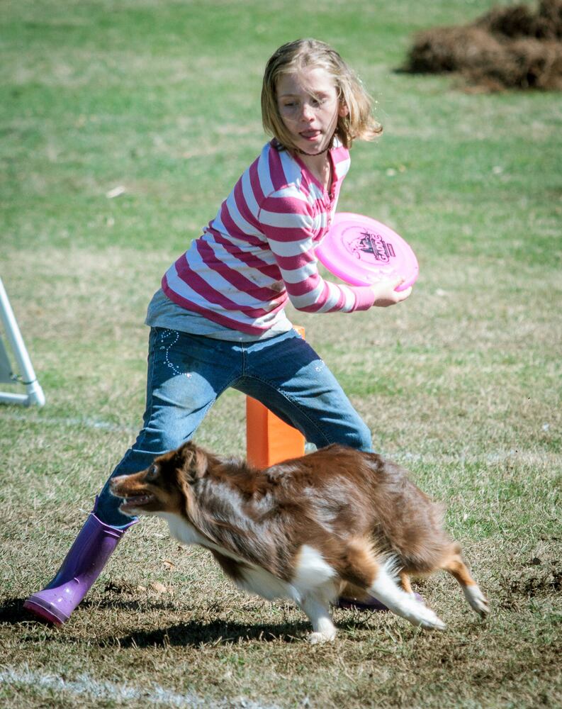 81st Annual Atlanta Dogwood Festival