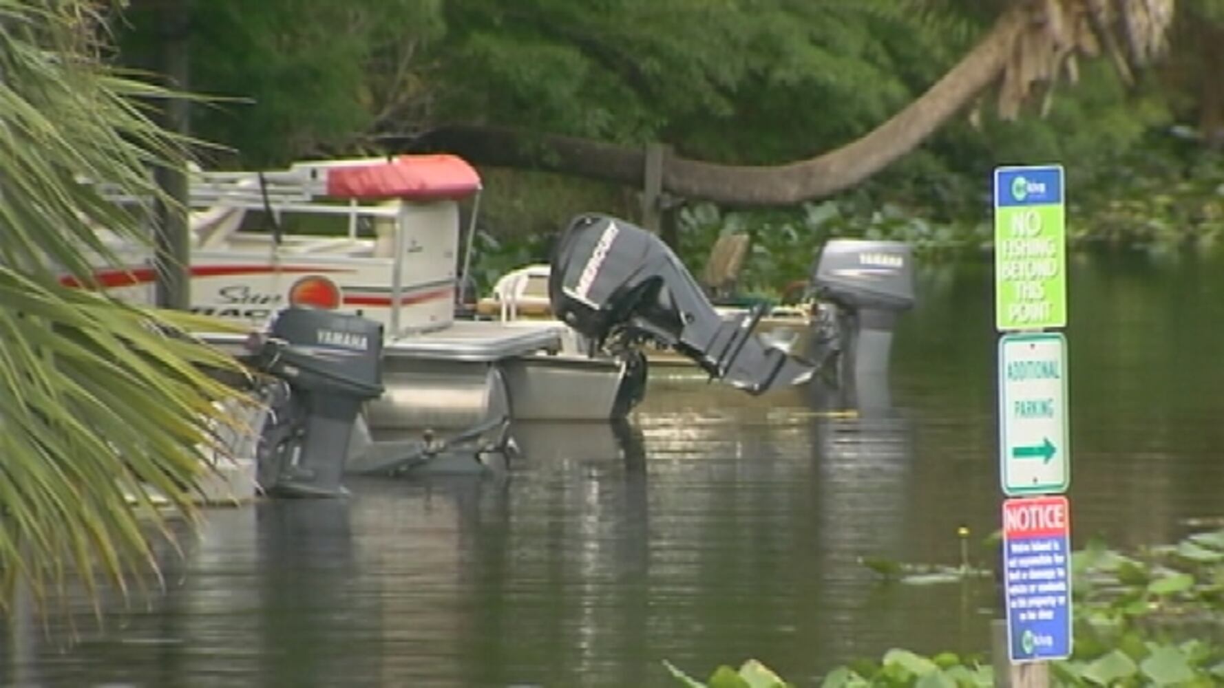 Woman attacked by alligator in Wekiva River
