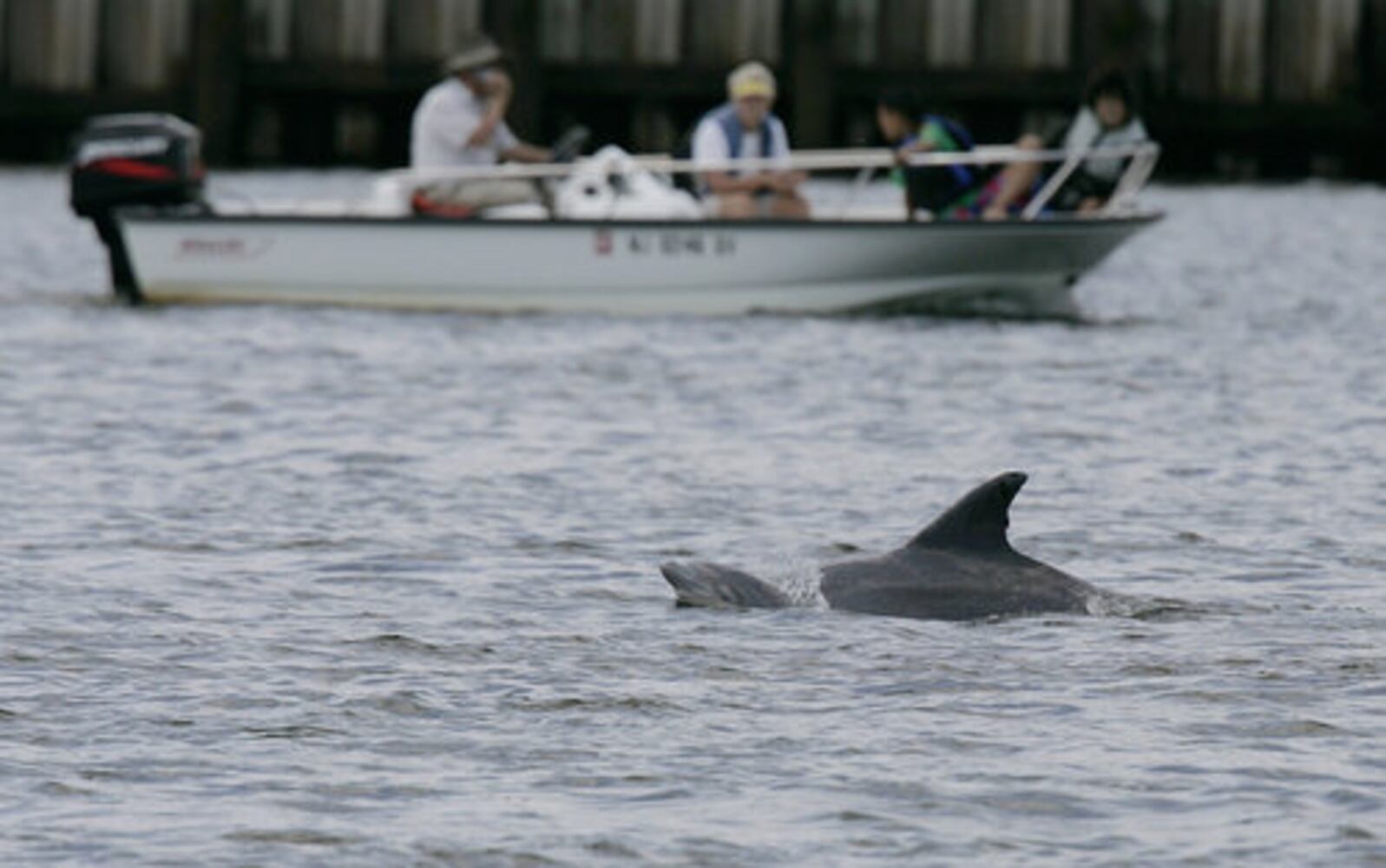 MTV's hit reality show boosts Jersey shore tourism
