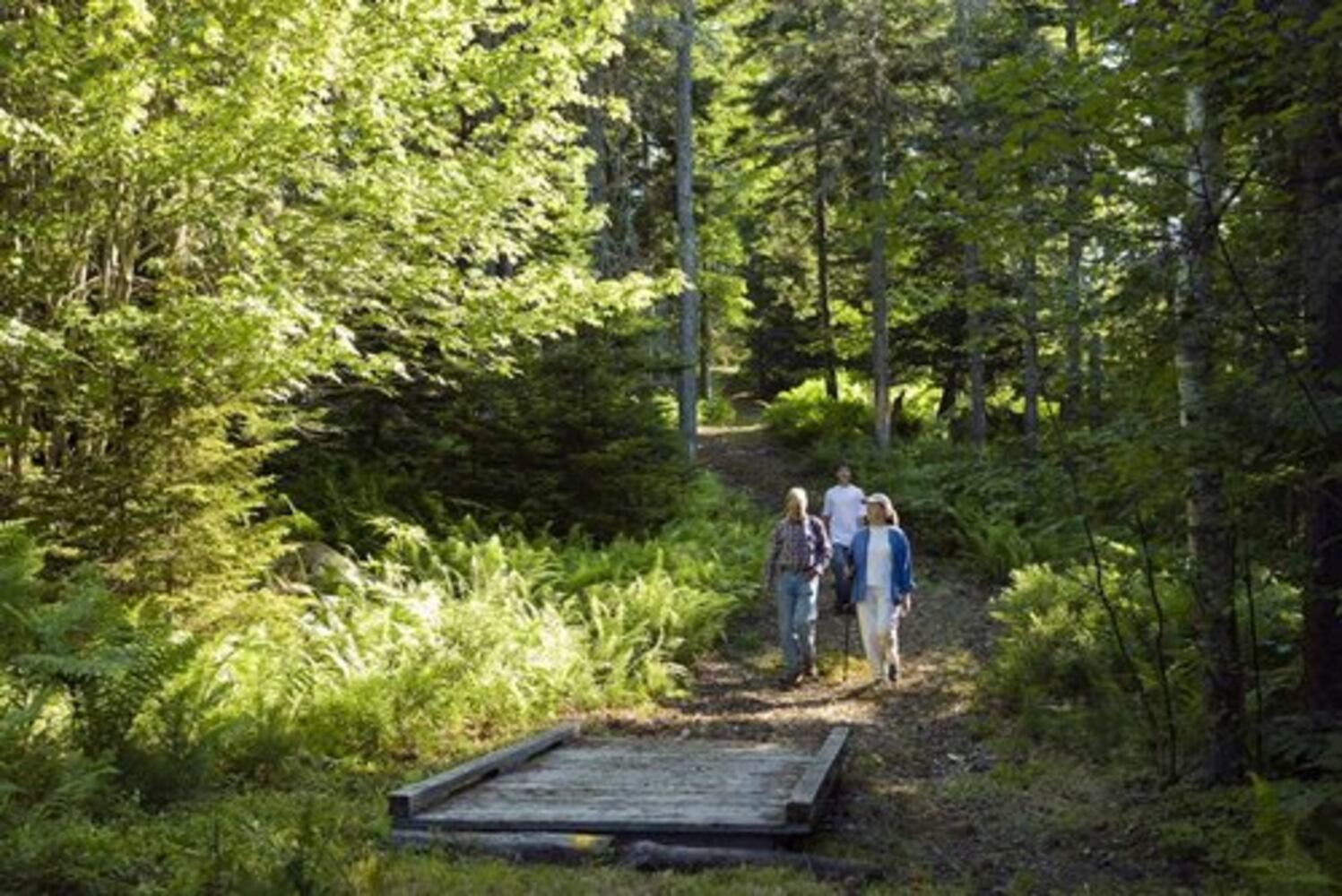 Maine: Scenery and lobster