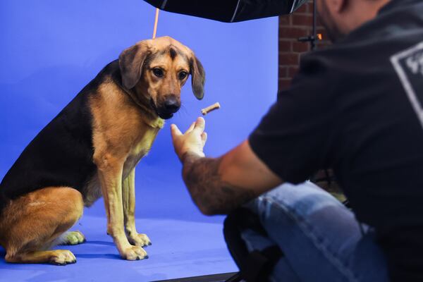 Photographer Diego Rodriguez tosses a dog a treat at WAG-A-LOT Dog Daycare in Atlanta on Wednesday, Aug. 19, 2026. (Abbey Cutrer for the AJC)