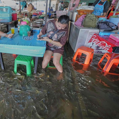 Diners at the Pa Jit restaurant watch fish swim in the aisles due to flooding from the Tha Chin River in Thailand's Nakhon Pathom Province west of Bangkok, Thailand, Friday, Nov. 14, 2025. (AP Photo/Sakchai Lalit)