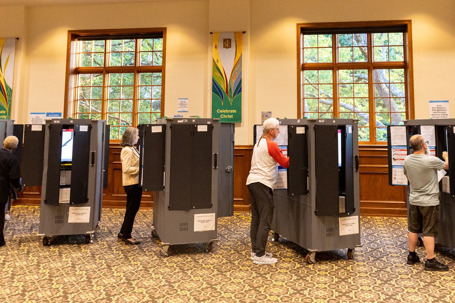 Georgia polls
