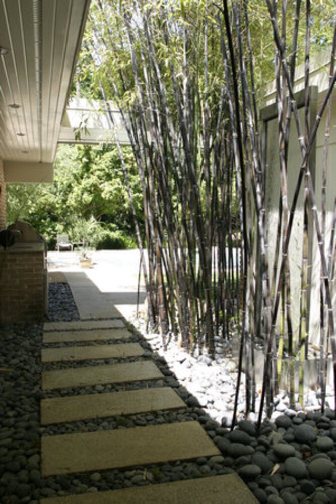 Mid-Century modern: A house to see through