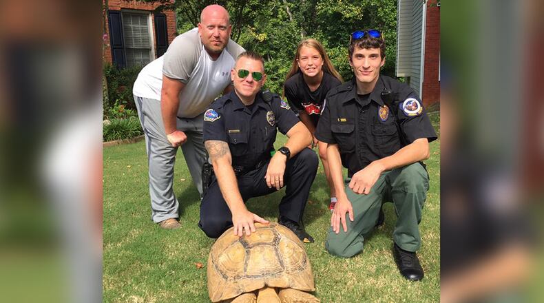 Tortoise found in Kennesaw  (Credit: Kennesaw Police Department)
