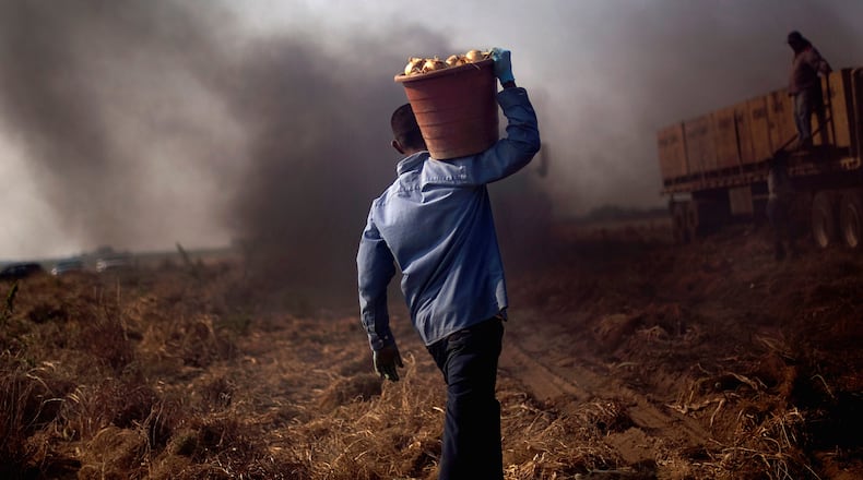 An indictment unsealed this week describes a conspiracy to exploit migrant farmworkers in Georgia. (David Goldman/AP)