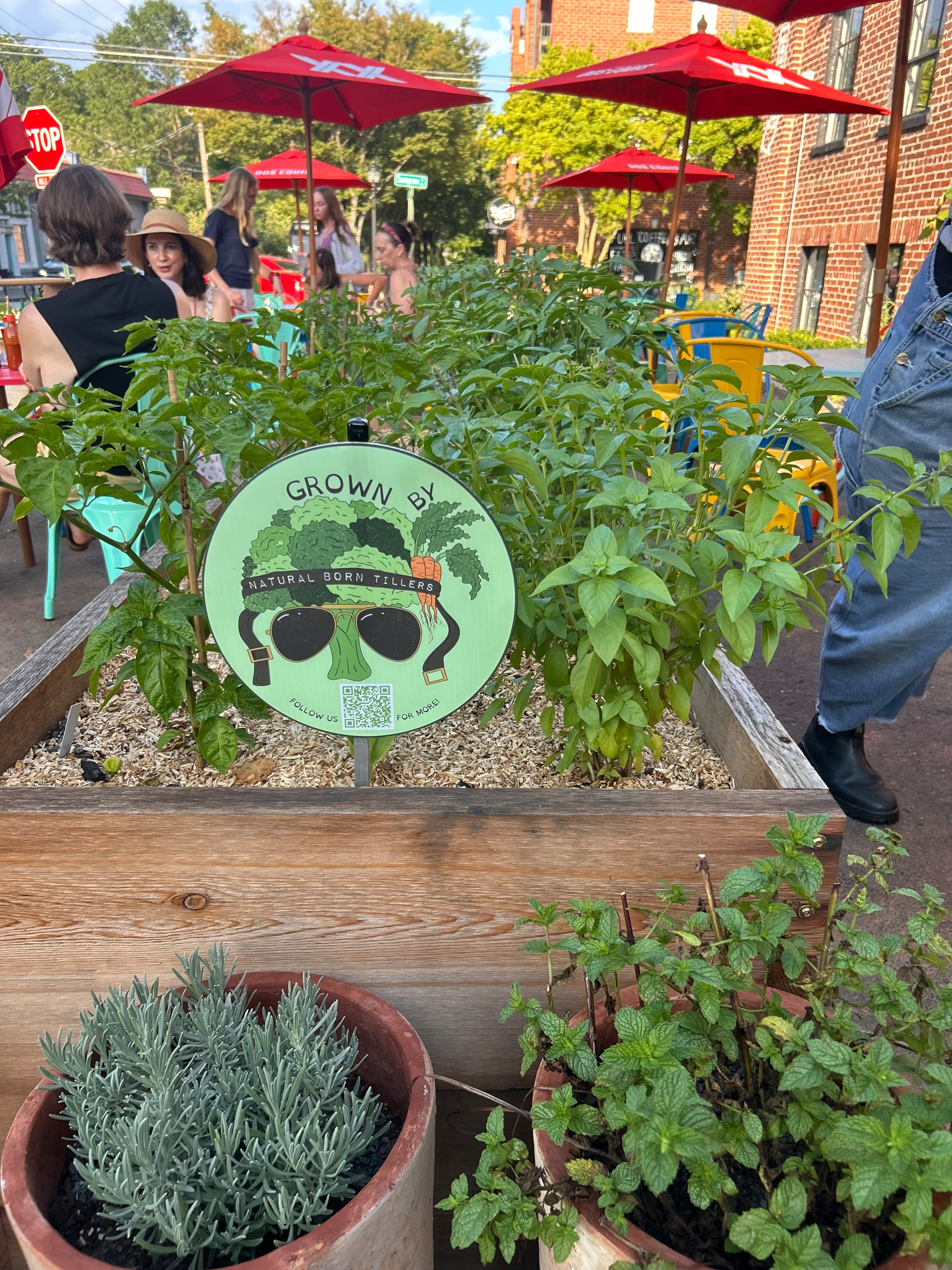Communidad's garden by Natural Born Tillers starts conversations. (Courtesy of Natural Born Tillers)