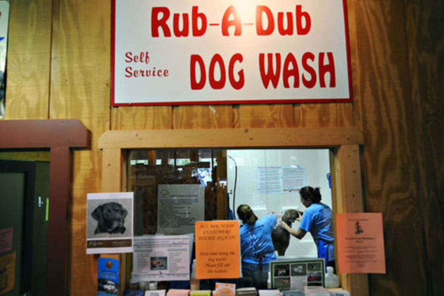 Dog wash fundraiser