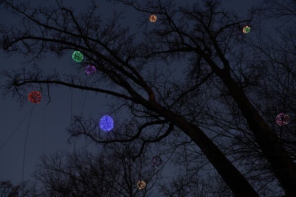 Glowing light spheres hang from the trees in the Riggers' Decatur yard. (Natrice Miller/AJC)