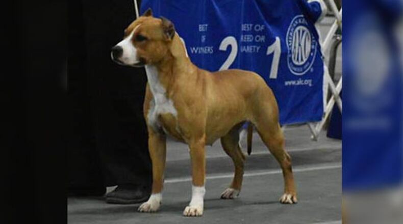 A dog who went missing at Hartsfield-Jackson Internation Airport was found and reunited with her owner.