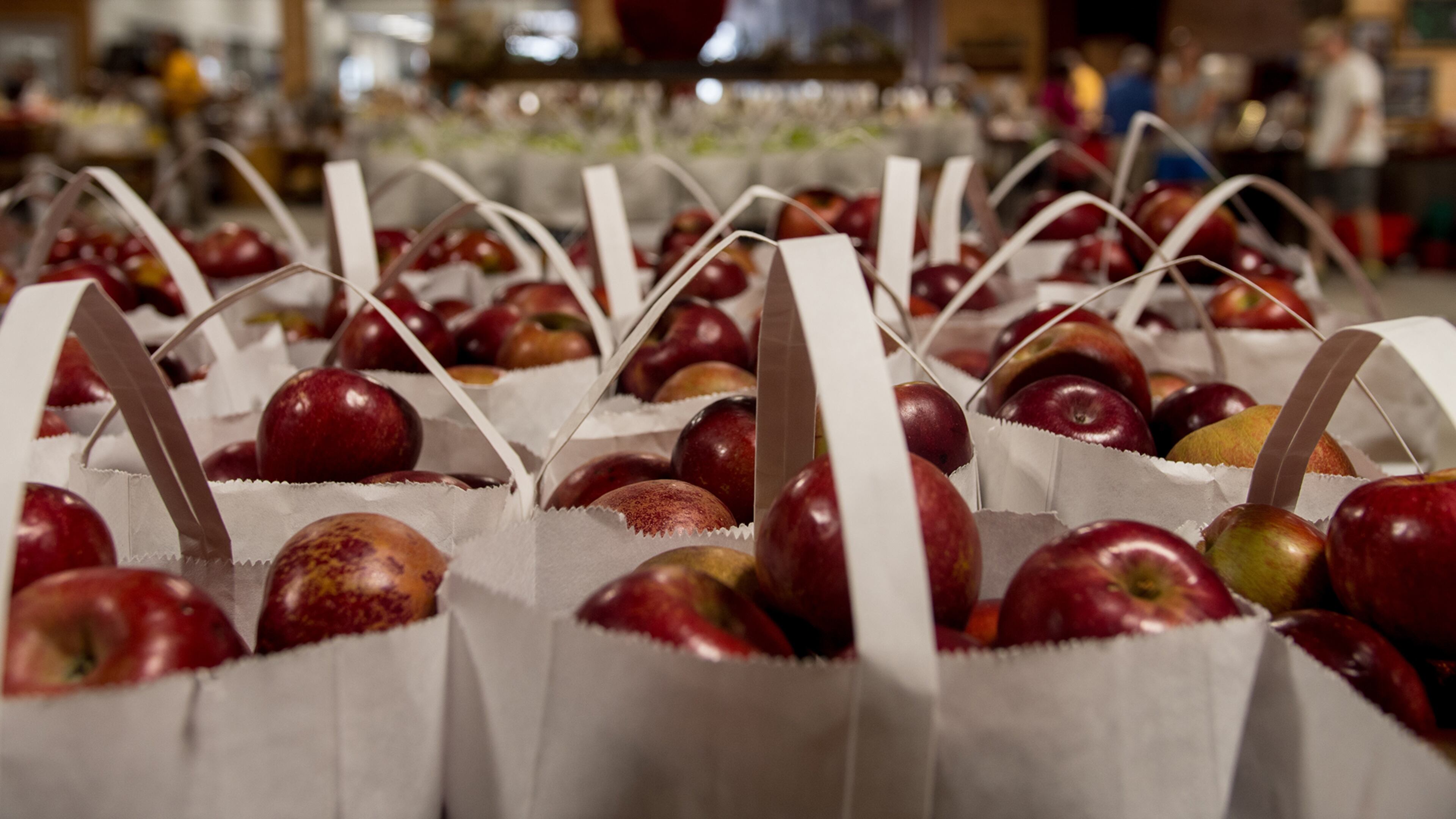 The Mercier Orchards farm store is filled with apple products, ranging from wine to hard cider to apple butter. (Courtesy of Mercier Orchards)