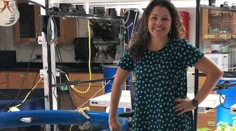 Carrie Settles Livers, a science teacher at Brookwood High School, is the only teacher in Georgia to receive a Presidential Innovation Award for Environmental Educators from the U.S. Environmental Protection Agency. COURTESY OF GWINNETT COUNTY PUBLIC SCHOOLS