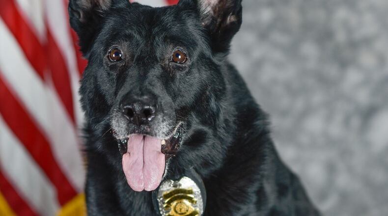 With "the heaviest of hearts," Kennesaw Police had their Officer K9 Turbo put down on June 17 due to loss of use of his painful legs. (Courtesy of Kennesaw)